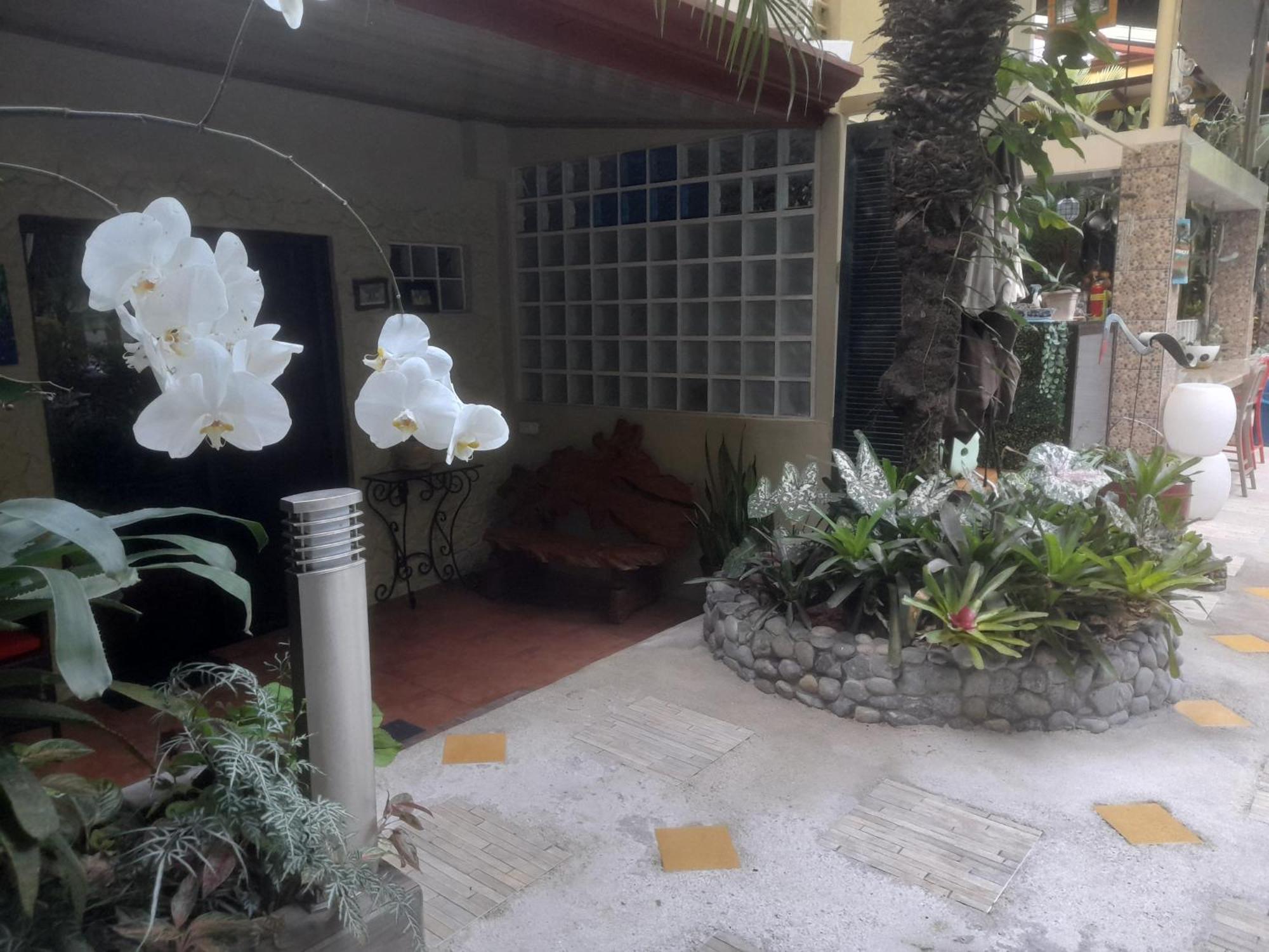 Coyaba Tropical Elegant Adult Guesthouse Manuel Antonio Dış mekan fotoğraf