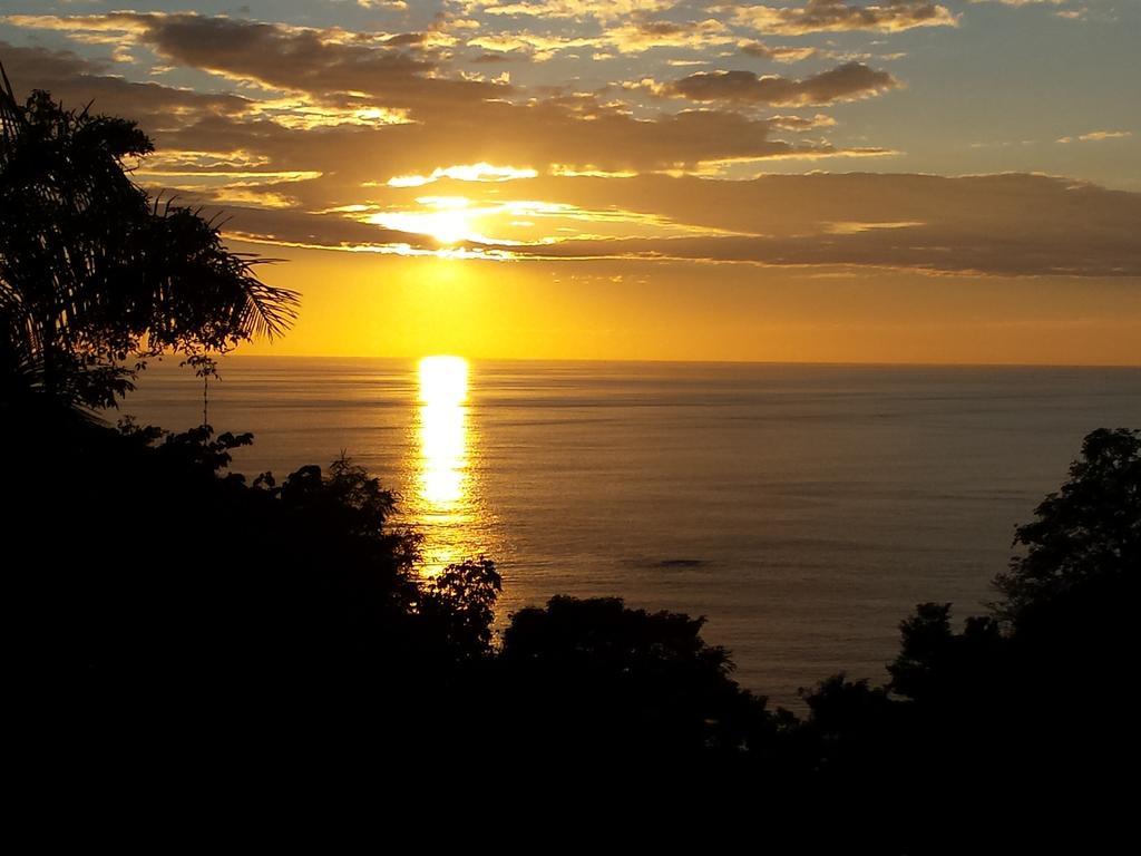 Coyaba Tropical Elegant Adult Guesthouse Manuel Antonio Dış mekan fotoğraf